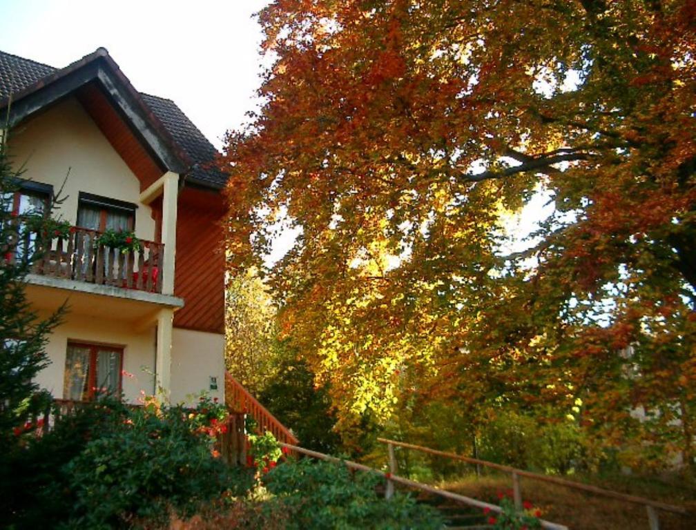 Le Chalet Luttenbach-près-Munster Exterior foto